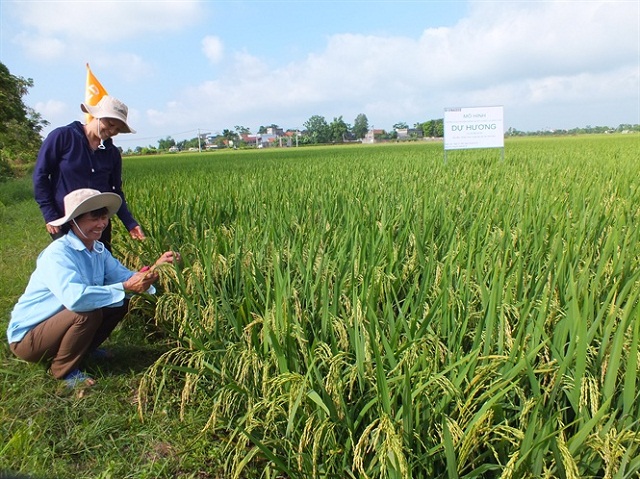 HTX Bốn Thuận: Nâng tầm chất lượng, bảo vệ môi trường