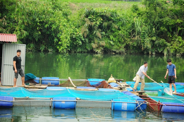 Bắc Quang: HTX nông nghiệp chung tay bảo vệ môi trường