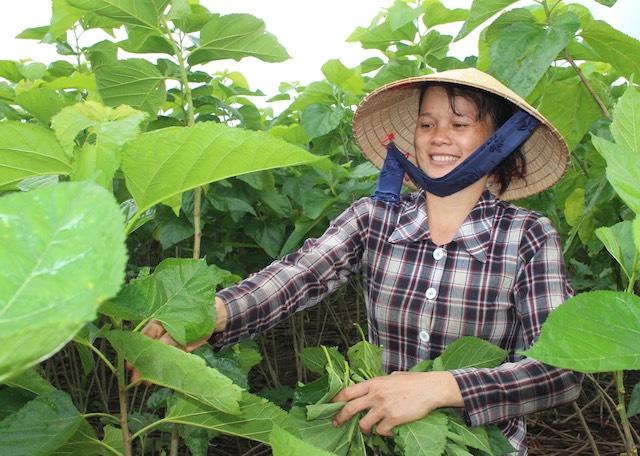 Sông Ray đổi thay từ các mô hình nông nghiệp hiệu quả