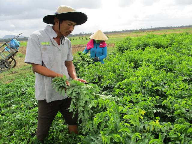 Núi Thành có bước tiến dài nhờ đào tạo nghề