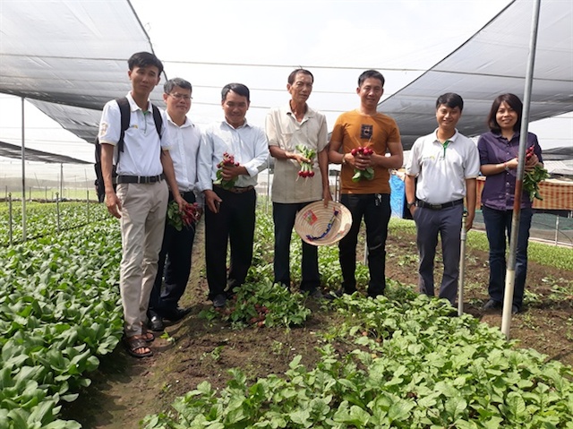 Xuân Thới Thượng cùng nông dân vươn lên làm giàu