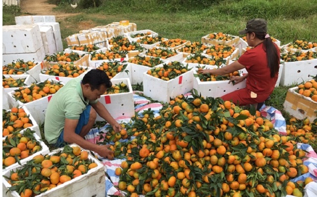 Mường Cơi tiếp tục 'nâng chất' nông thôn mới