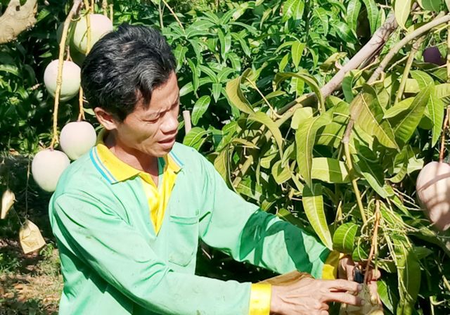 Tri Tôn: Đa dạng sinh kế cho nông dân làm giàu