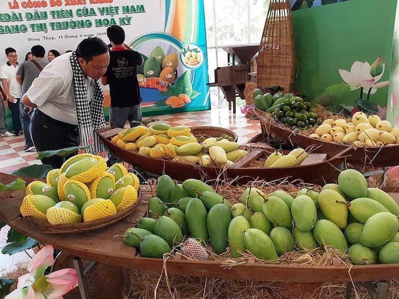 Cục Bảo vệ thực vật nói gì về việc Trung Quốc ngừng nhập xoài Cao Lãnh?