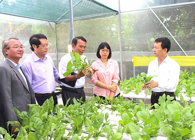 Nghề nông truyền thống giúp người dân An Khê có thu nhập khá
