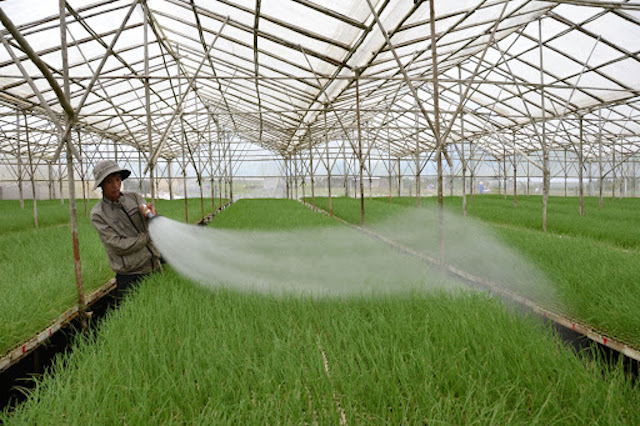 Những nghề ‘hái’ ra tiền tỷ cho người dân Đơn Dương