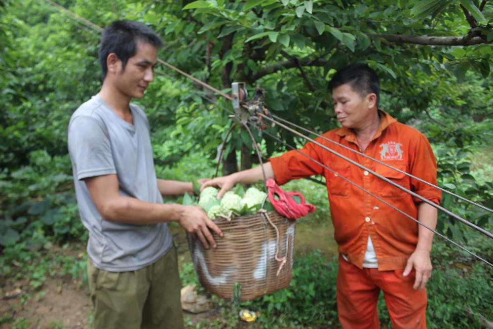 Lạng Sơn: OCOP 'cất cánh' từ nông sản đặc sản