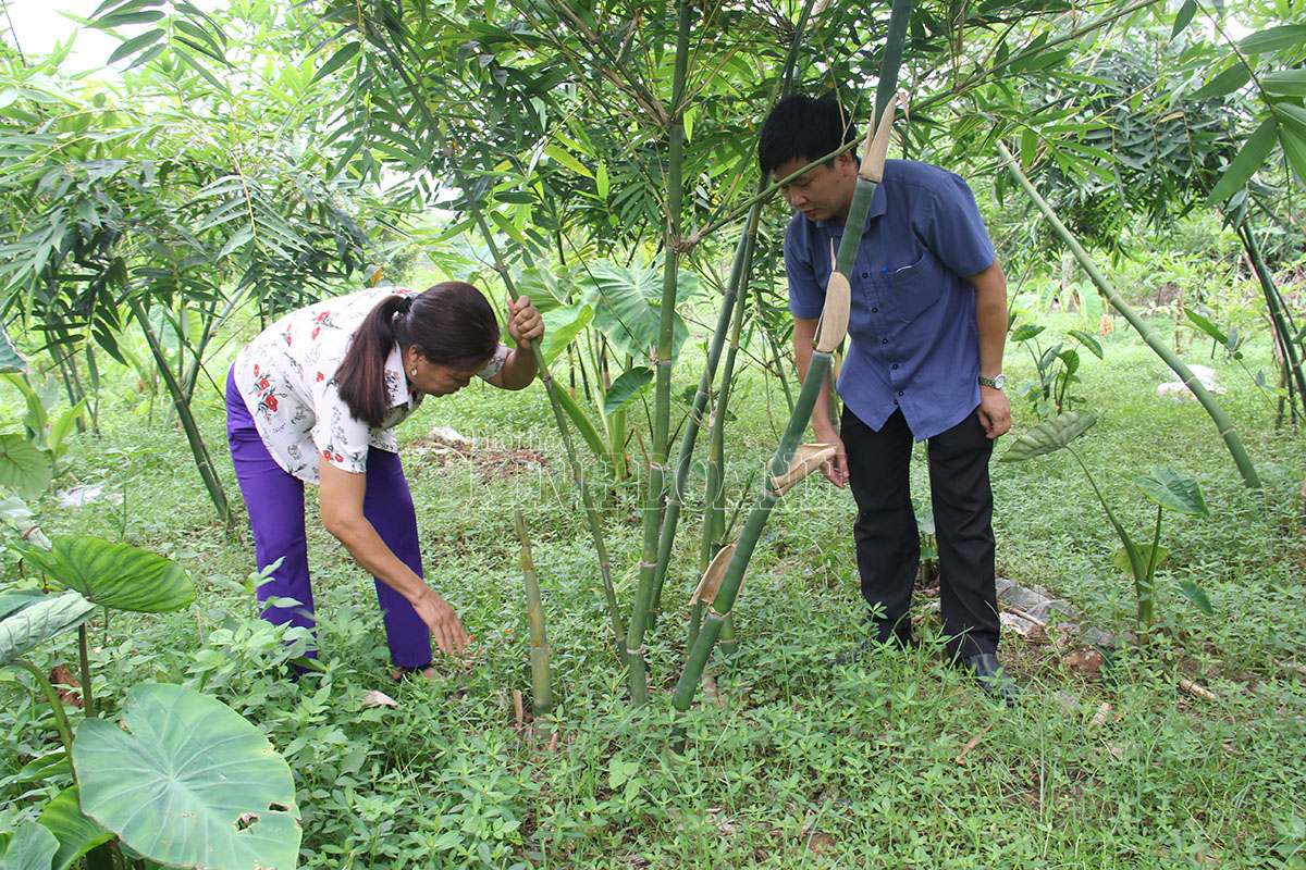 Chuyện xây dựng nông thôn mới ở Bắc Giang