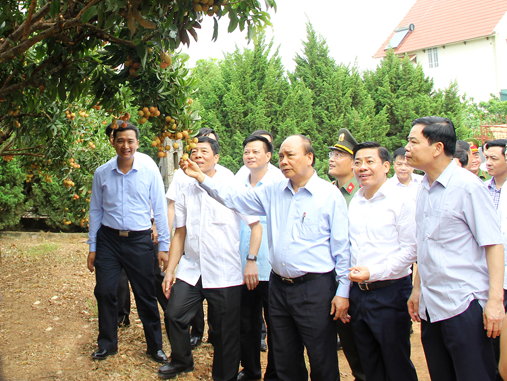 Khẳng định vị thế, vai trò của khu vực KTTT, HTX: Cách làm của Bắc Giang