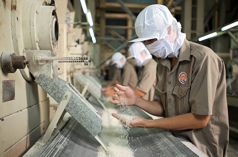 Đóng lô gạo đầu tiên xuất khẩu vào EU với thuế suất 0%