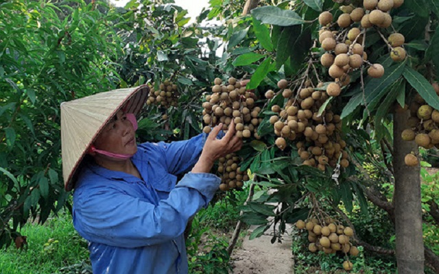 Nà Nghịu vượt khó xây dựng nông thôn mới