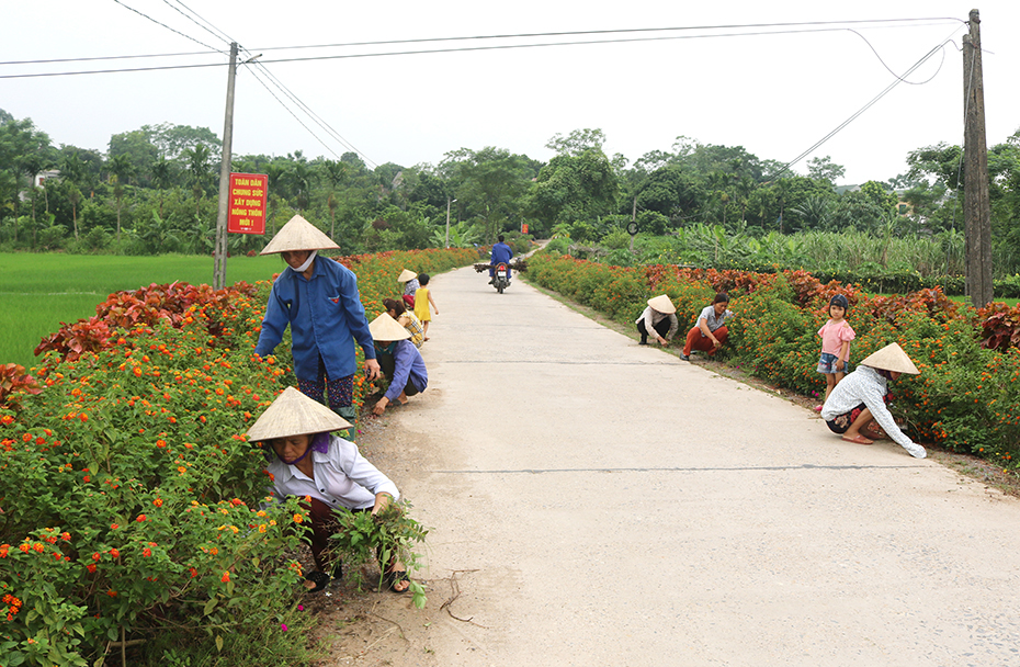 Tiêu chí môi trường giúp Nam Hồng sớm cán đích NTM nâng cao