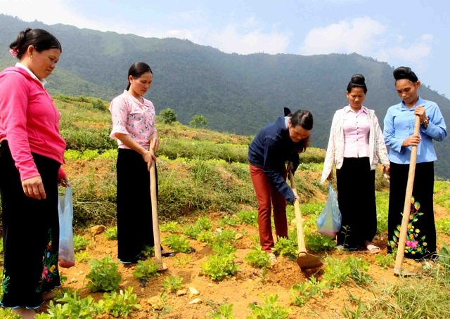 tang-vu-3721-1599125717.jpg
