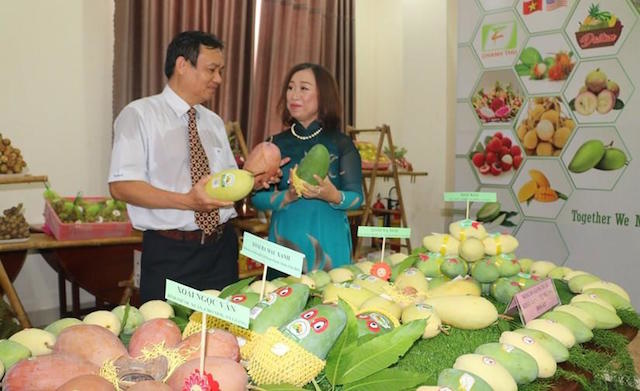 xuat-khau-khuyến mãi 789bet-qua-7861-1599186562.jpg