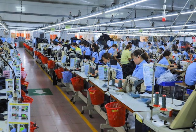 Hai doanh nghiệp kêu cứu vì bị truy thu 60 tỷ đồng, Tổng cục Hải quan nói gì?