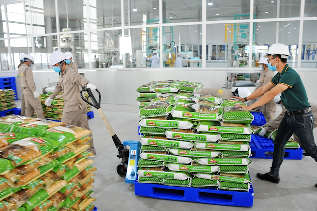 Không công bằng cho hạt gạo Việt