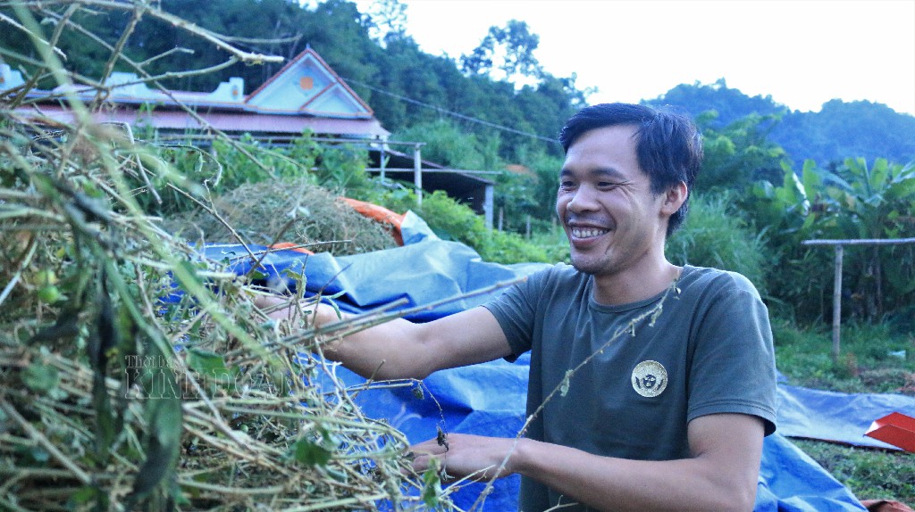 Cầm sổ đỏ vay tiền 'nuôi' cây thuốc quý, bản nghèo bước sang trang mới