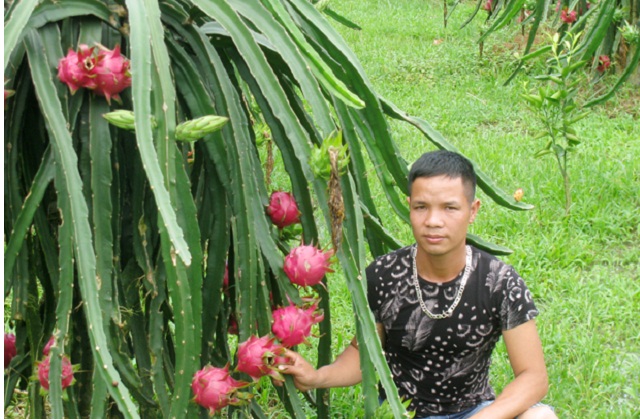 Nông thôn mới bừng sáng ở vùng quê Đồng Yên