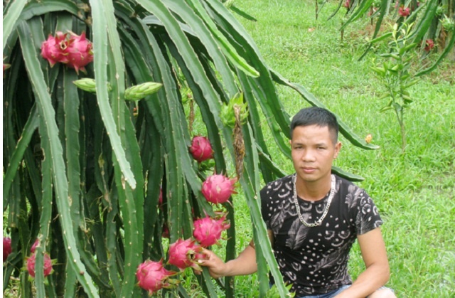 thanh-long-ruot-do-1-6589-1599468706.jpg