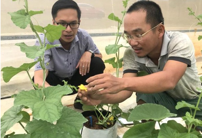 La’sfarm Ân Phong: Thành quả ngọt ngào từ nông nghiệp công nghệ cao