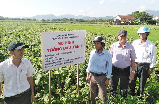 Cú hích từ nông nghiệp xanh trên miền 'đất võ'