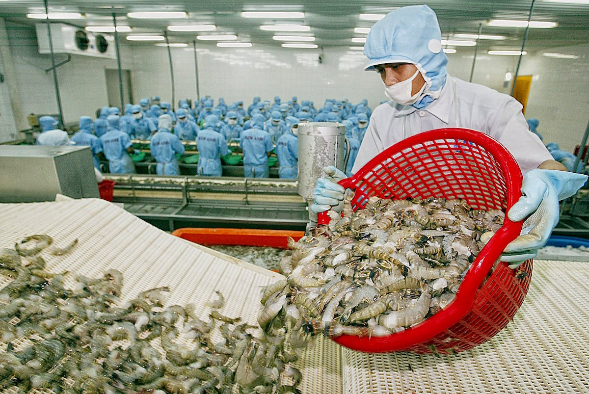 Xuất khẩu tôm sang EU bật tăng trên 20% nhờ EVFTA