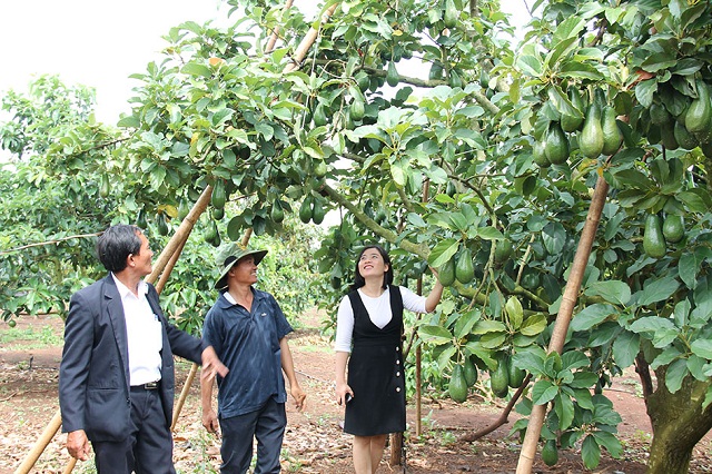 Chiềng Khay không còn loay hoay giảm nghèo
