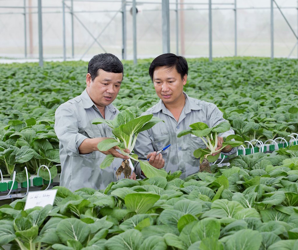 san-xuat-nong-san-sach-6441-1599644538.j