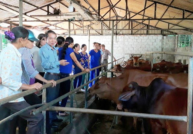 chan-nuoi-tinh-Hoa-Binh-1-8692-159973059