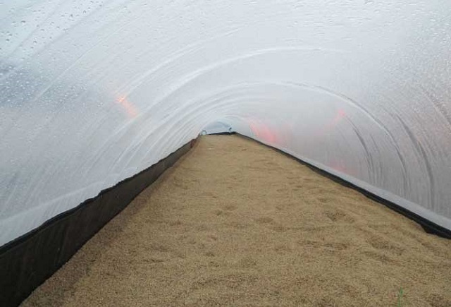 HTX Hoa Tiên: Sản xuất bền vững nhờ chú trọng chế biến