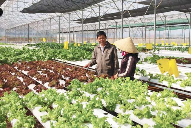 Cư M’gar phát triển nông nghiệp công nghệ cao