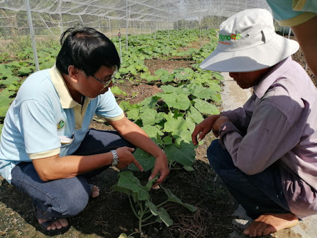 Kinh nghiệm đào tạo nghề nông thôn có thế mạnh ở Long Mỹ