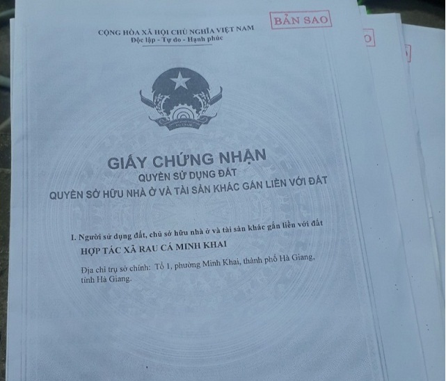 Số phận pháp lý của HTX rau cá Minh Khai