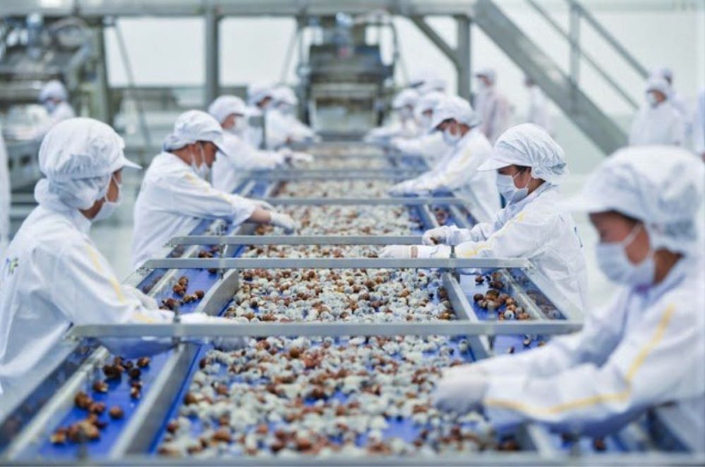 Thêm nhà máy chế biến hoa quả hiện đại, vốn đầu tư 1.200 tỷ đồng
