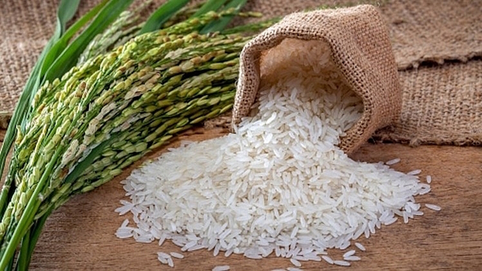 Giá nông sản ngày 24/9: Gạo và cà phê tăng nhẹ, lợn hơi giảm xuống 74.000 đồng/kg, tiêu đi ngang