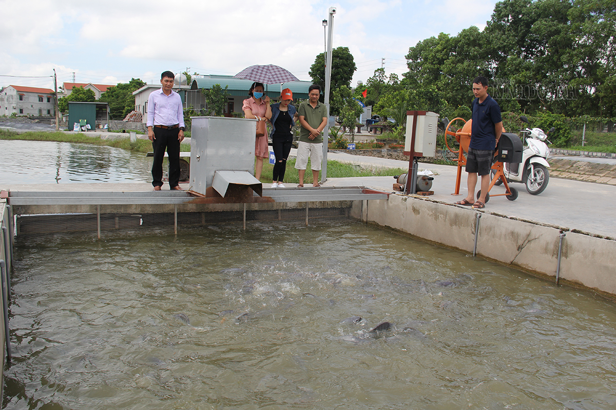 Khơi thông 'điểm nghẽn' cho HTX nông nghiệp vươn lên