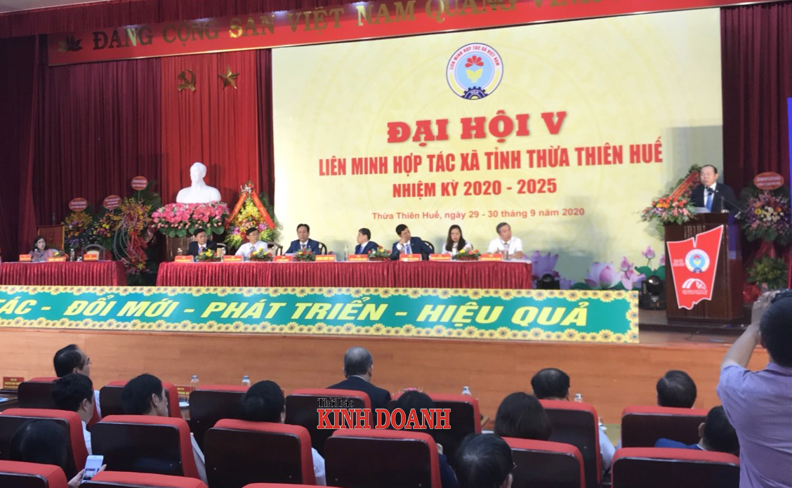 Đại hội lần thứ V Liên minh HTX Thừa Thiên Huế: Tạo đà bứt phá cả về chất và lượng