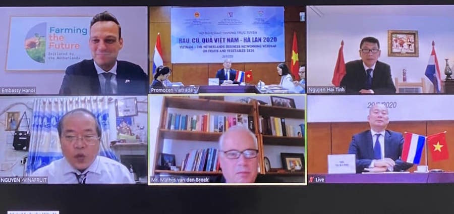 Đẩy mạnh xuất rau quả vào 'cửa ngõ' EU