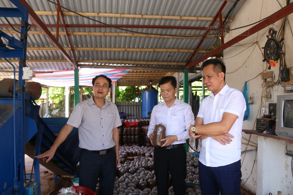 Quỹ hỗ trợ phát triển HTX (Kỳ I): Vẫn trong cơn khát... vốn