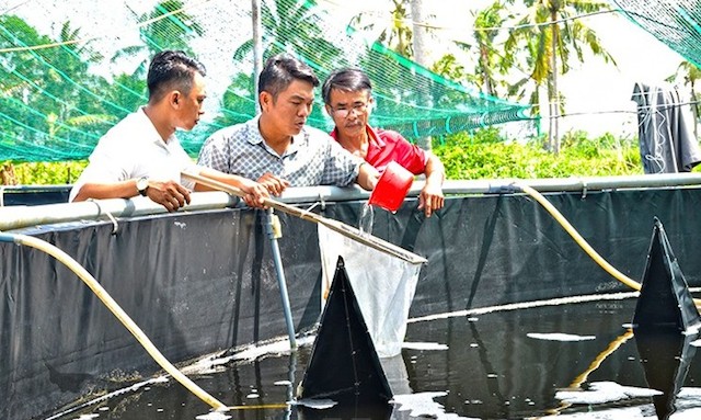 Cà Mau: Gắn dạy nghề với tạo việc làm tại chỗ