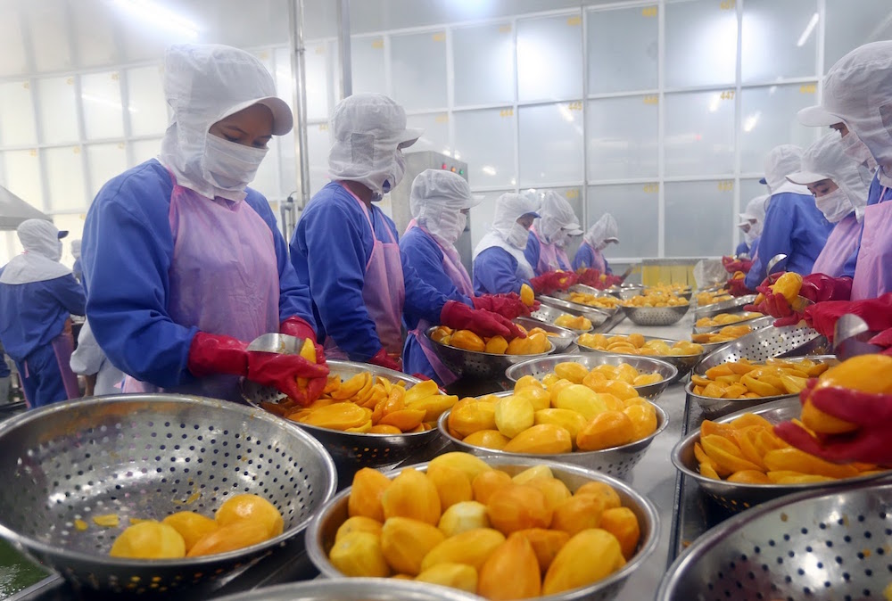 'Vị đắng' xuất khẩu trái cây tươi
