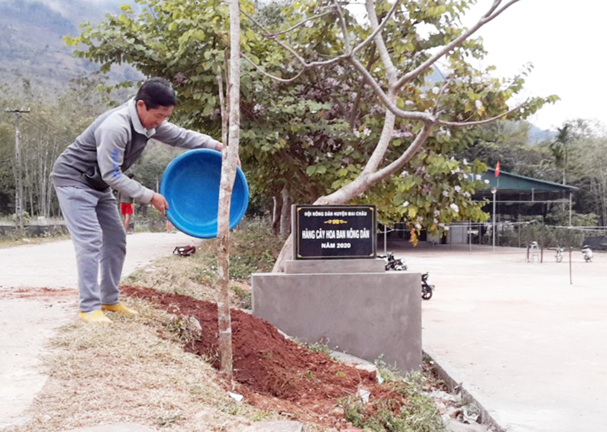 Mai Châu: Xây dựng nông thôn mới gắn với phát triển OCOP