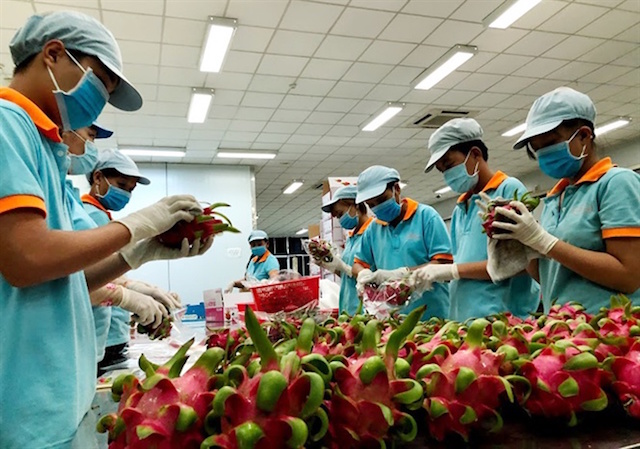 Bị 'tuýt còi', nông sản xuất khẩu khó giữ thị trường