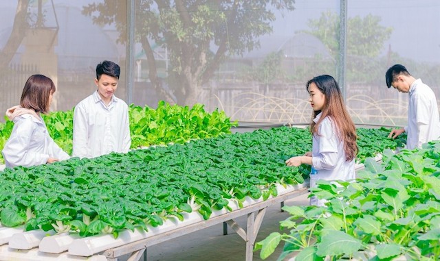 TP.HCM: Chú trọng dạy nghề ứng dụng nông nghiệp công nghệ cao