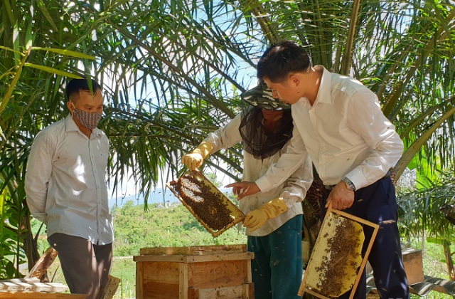 Nuôi ong góp sức nâng chuẩn nông thôn mới