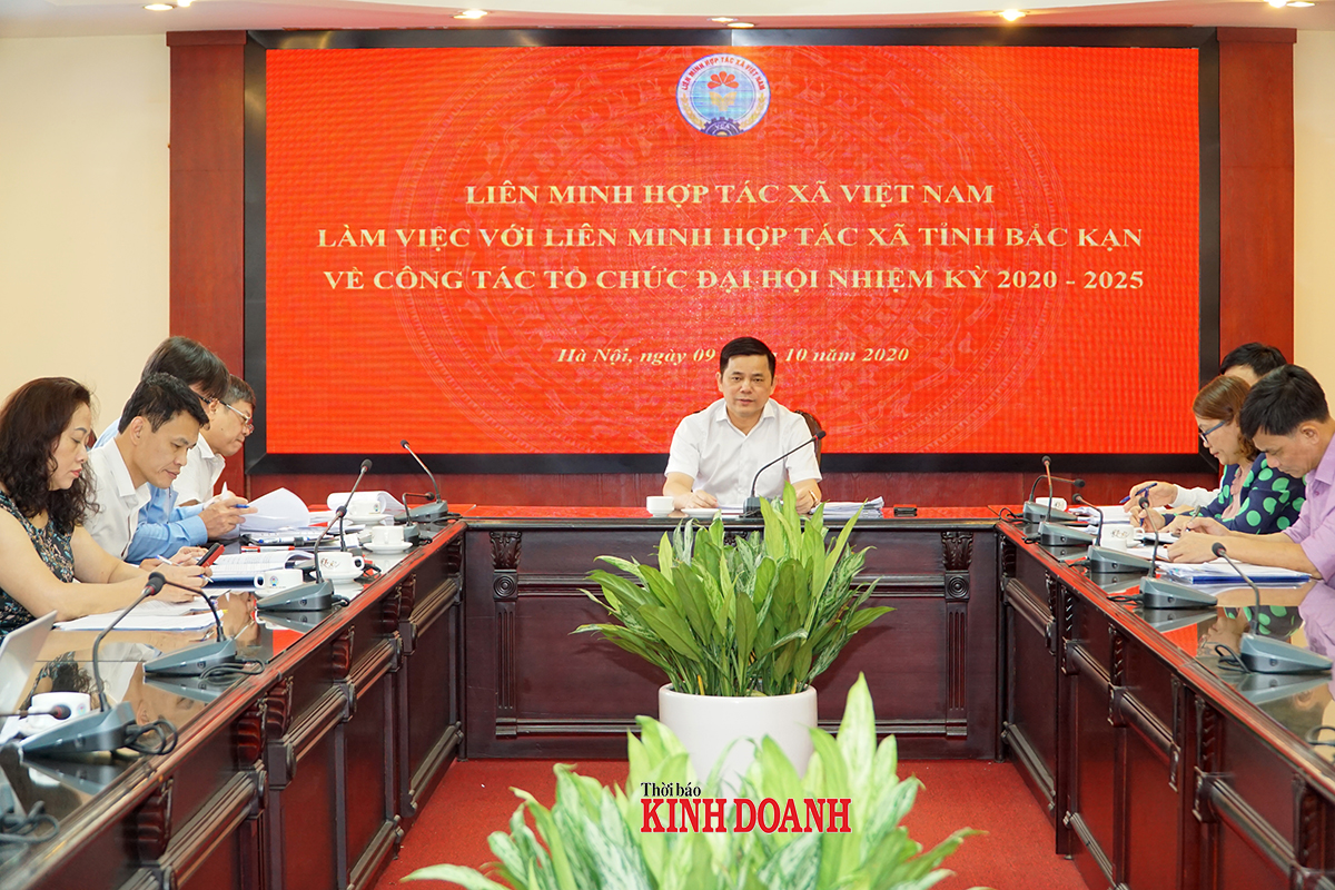 4 trọng tâm cho nhiệm kỳ mới của Liên minh HTX tỉnh Bắc Kạn