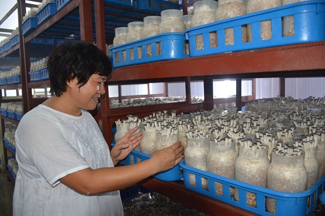 Niềm vui của huyện nông thôn mới Ân Thi