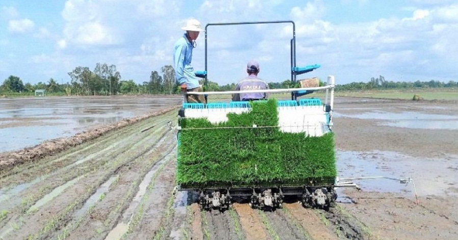 Khu vực nông lâm thủy sản có tốc độ tăng năng suất lao động cao nhất