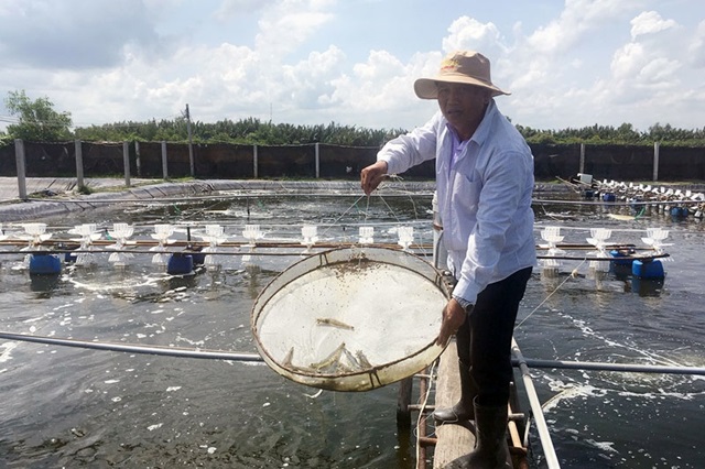 Xây dựng chuỗi giá trị sản phẩm tôm ở Đồng bằng sông Cửu Long
