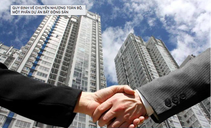 Nhiều doanh nghiệp lọt 'top' đóng thuế thu nhập lớn nhất nhờ chuyển nhượng bất động sản